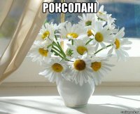 роксолані 