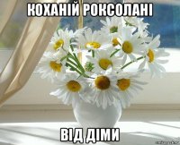 коханій роксолані від діми