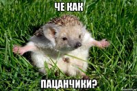 че как пацанчики?