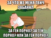 за что же меня твич забанил за гей порно? за гей порно? или за гей порно?