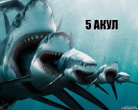 5 АКУЛ