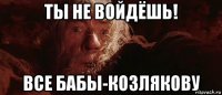 ты не войдёшь! все бабы-козлякову