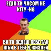 едік ти часом не кіт? -нє бо ти ведеш себе так ніби в тебе 9 жизней