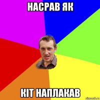 насрав як кіт наплакав