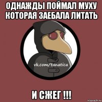 однажды поймал муху которая заебала литать и сжег !!!