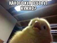 какого хуя тебе тут нужно? 