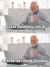 Галька доїбалась-Хулі ти черешні пиздиш собака. А я взяв тай спиляв деревину їй.