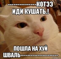 ---------------котээ иди кушать.! пошла на хуй шваль----------------------