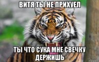 витя ты не прихуел ты что сука мне свечку держишь