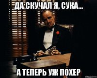 да скучал я, сука... а теперь уж похер