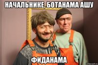 начальнике, ботанама ашу фиданама