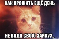 как прожить ещё день не видя свою зайку?..