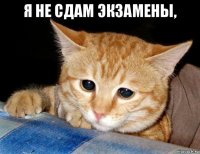 я не сдам экзамены, 