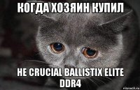 когда хозяин купил не crucial ballistix elite ddr4