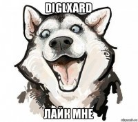 diglxard лайк мне