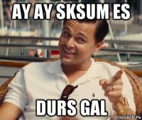 ay ay sksum es durs gal