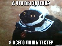 а что вы хотели? я всего лишь тестер