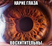 карие глаза восхитительны