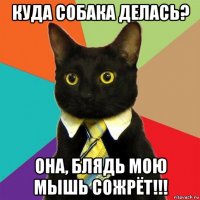 куда собака делась? она, блядь мою мышь сожрёт!!!