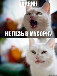 шарик не лезь в мусорку