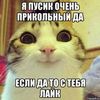 я пусик очень прикольный да если да то с тебя лайк