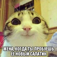  жена, когда ты пробуешь ее новый салатик