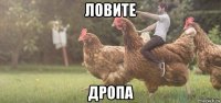 ловите дропа