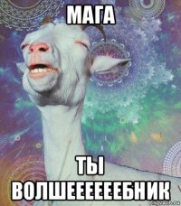 мага ты волшеееееебник