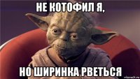 не котофил я, но ширинка рветься