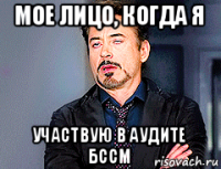 мое лицо, когда я участвую в аудите бссм