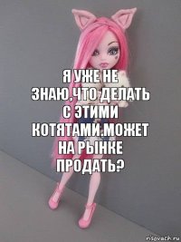 Я уже не знаю,что делать с этими котятами.Может на рынке продать?