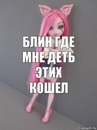 блин где мне деть этих кошел