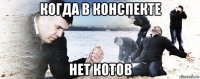 когда в конспекте нет котов