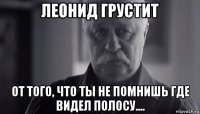 леонид грустит от того, что ты не помнишь где видел полосу....