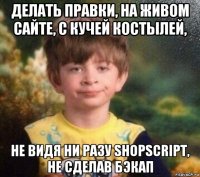 делать правки, на живом сайте, с кучей костылей, не видя ни разу shopscript, не сделав бэкап