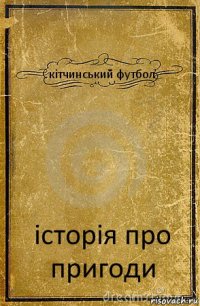 кітчинський футбол історія про пригоди