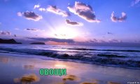      овощи  