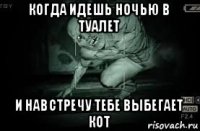 когда идешь ночью в туалет и навстречу тебе выбегает кот