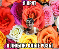 я крут я люблю алые розы