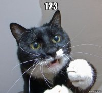 123 