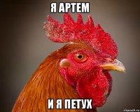 я артем и я петух