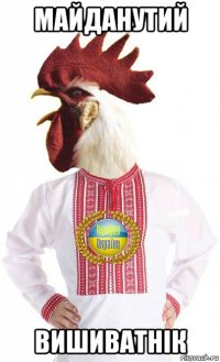 майданутий вишиватнік