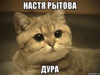 настя рытова дура