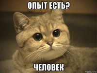 опыт есть? человек