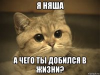 я няша а чего ты добился в жизни?