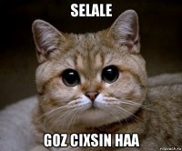 selale goz cixsin haa