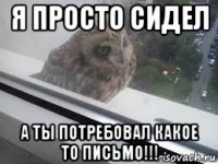 я просто сидел а ты потребовал какое то письмо!!!