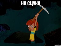 на сцуко 