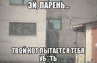  твой кот пытается тебя уб**ть