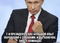  г-н президент, у вас большой опыт обращения с собаками, и вы, конечно, знаете команды